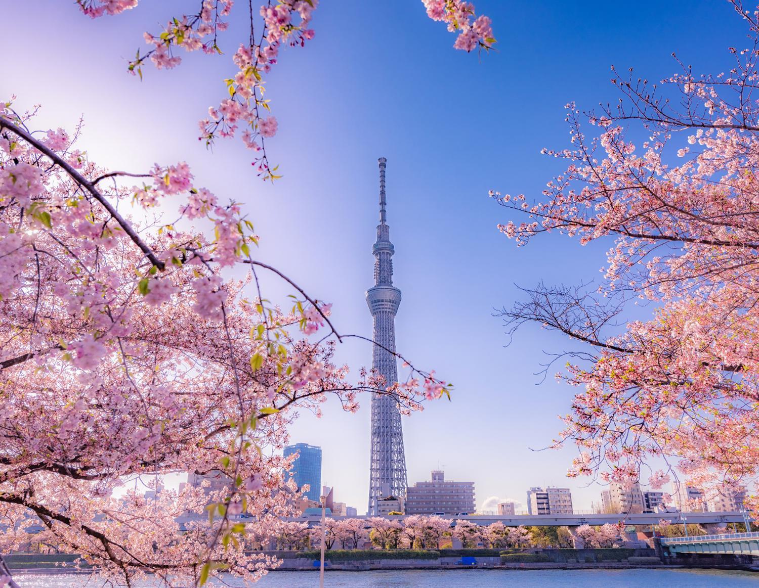 Grand Tree Hotel Skytree View Rooftop Asakusa Walk Τόκιο Εξωτερικό φωτογραφία